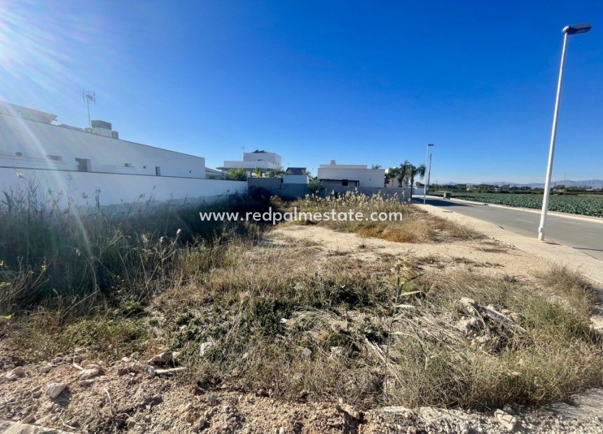 Reventa - Trama -
Formentera del Segura - Formentera De Segura