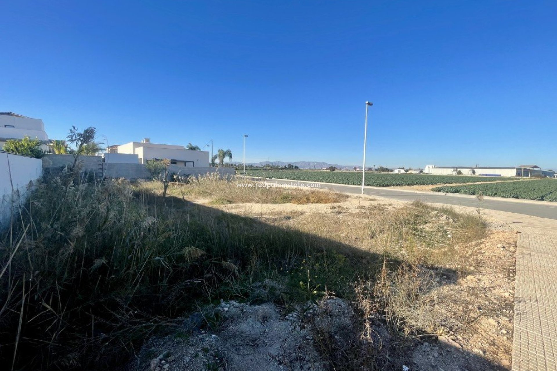 Reventa - Trama -
Formentera del Segura - Formentera De Segura