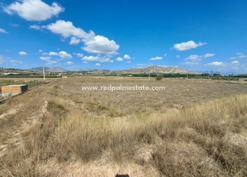 Reventa - Trama -
Hondón de las Nieves - Inland