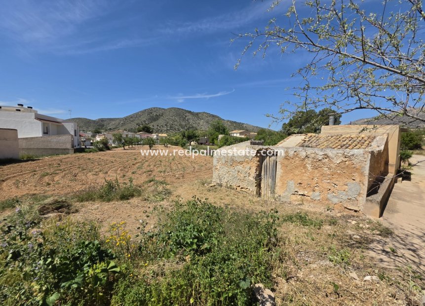 Reventa - Trama -
Hondón de las Nieves - Inland