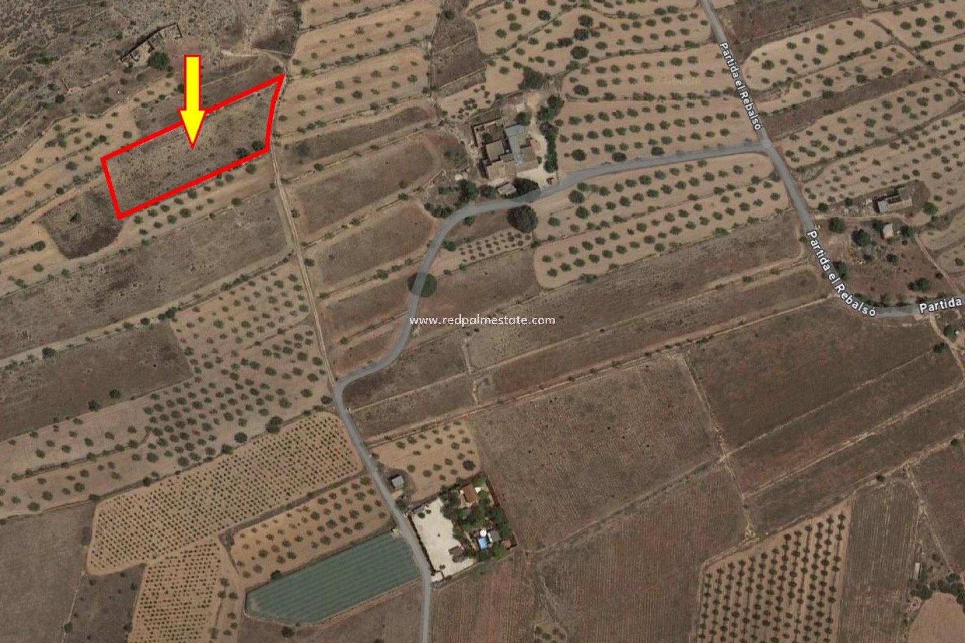 Reventa - Trama -
Hondón de las Nieves - Rebalso