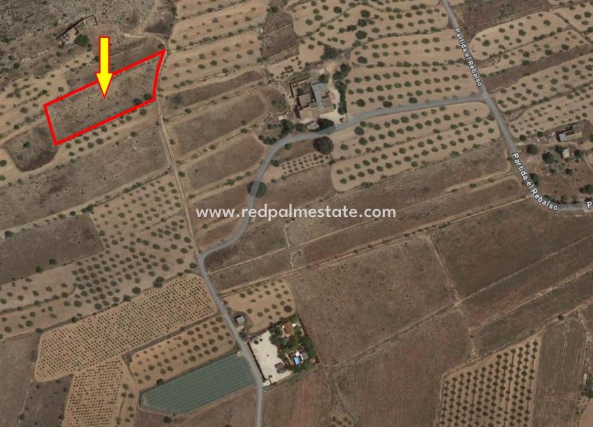 Reventa - Trama -
Hondón de las Nieves - Rebalso