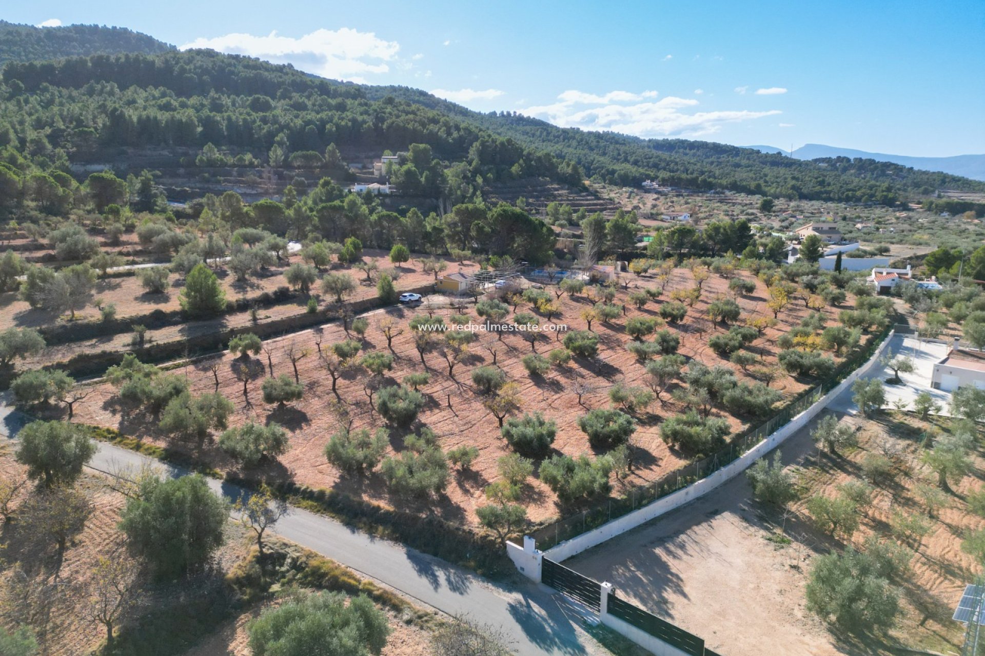 Reventa - Trama -
Ibi - Costa Blanca