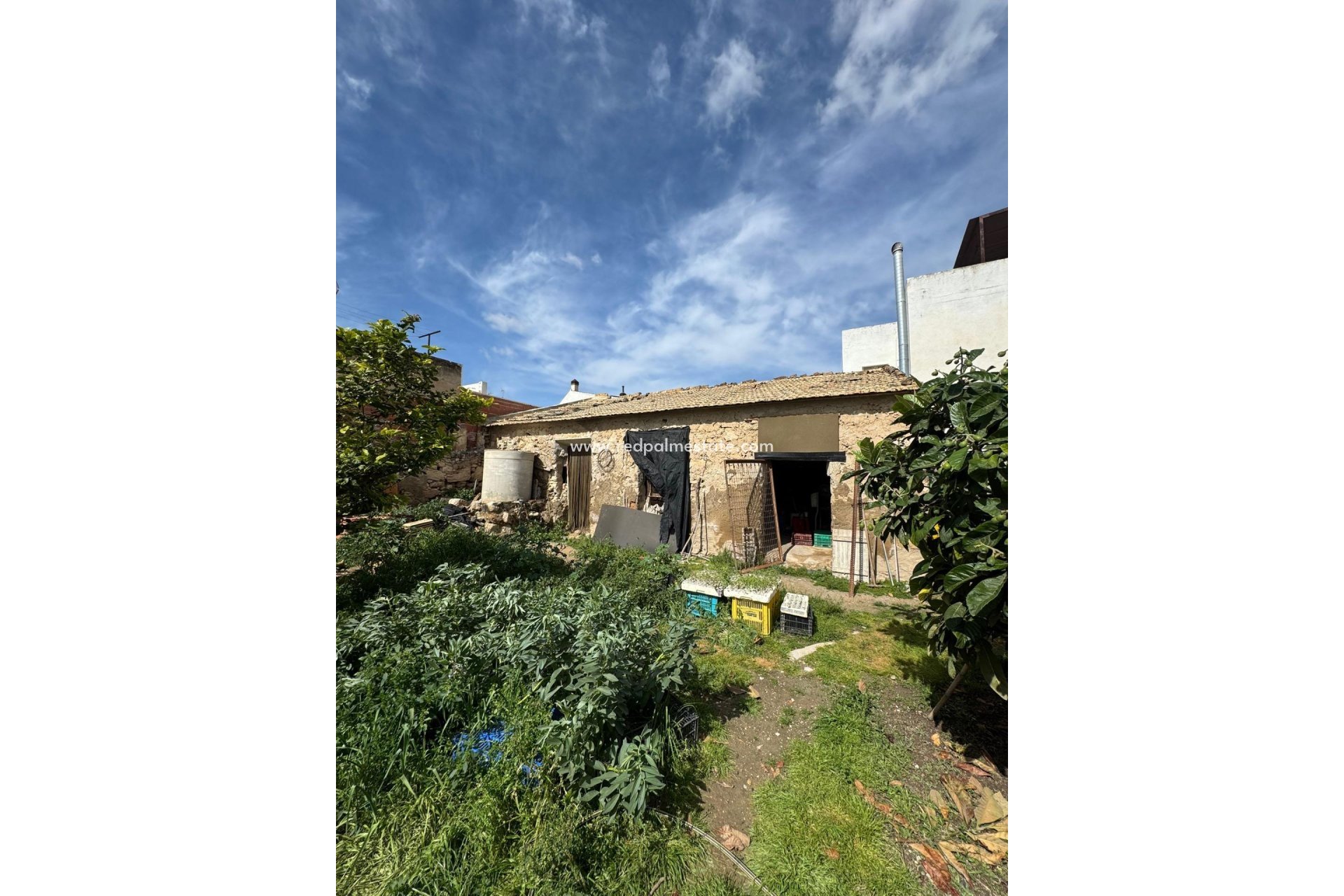 Reventa - Trama -
Jacarilla