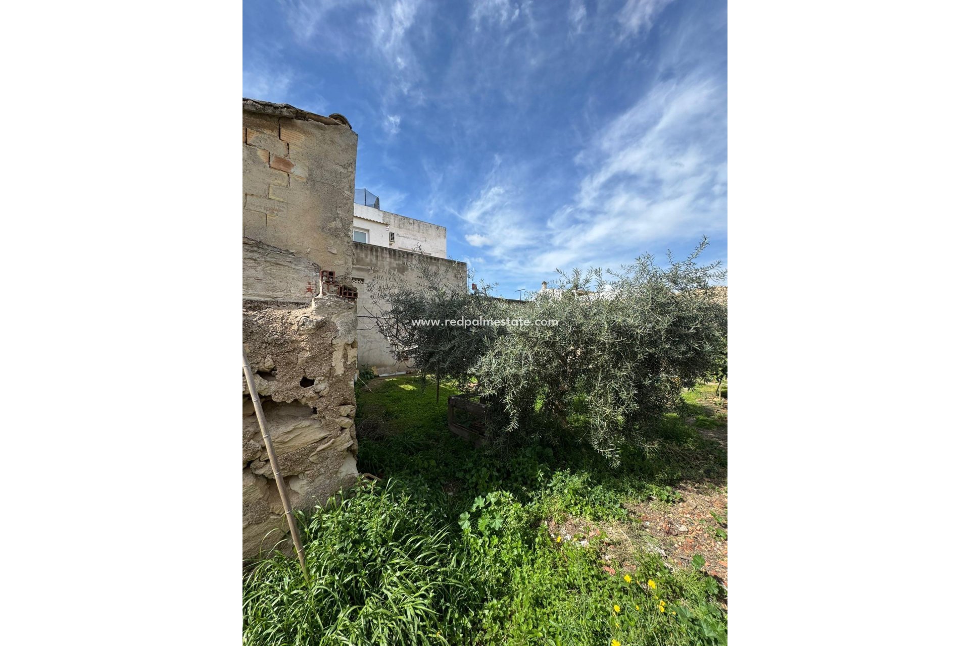 Reventa - Trama -
Jacarilla