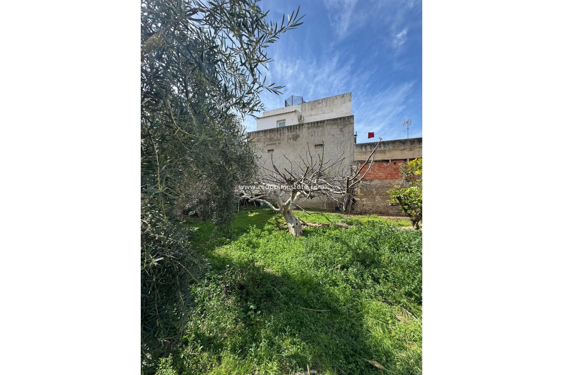 Reventa - Trama -
Jacarilla