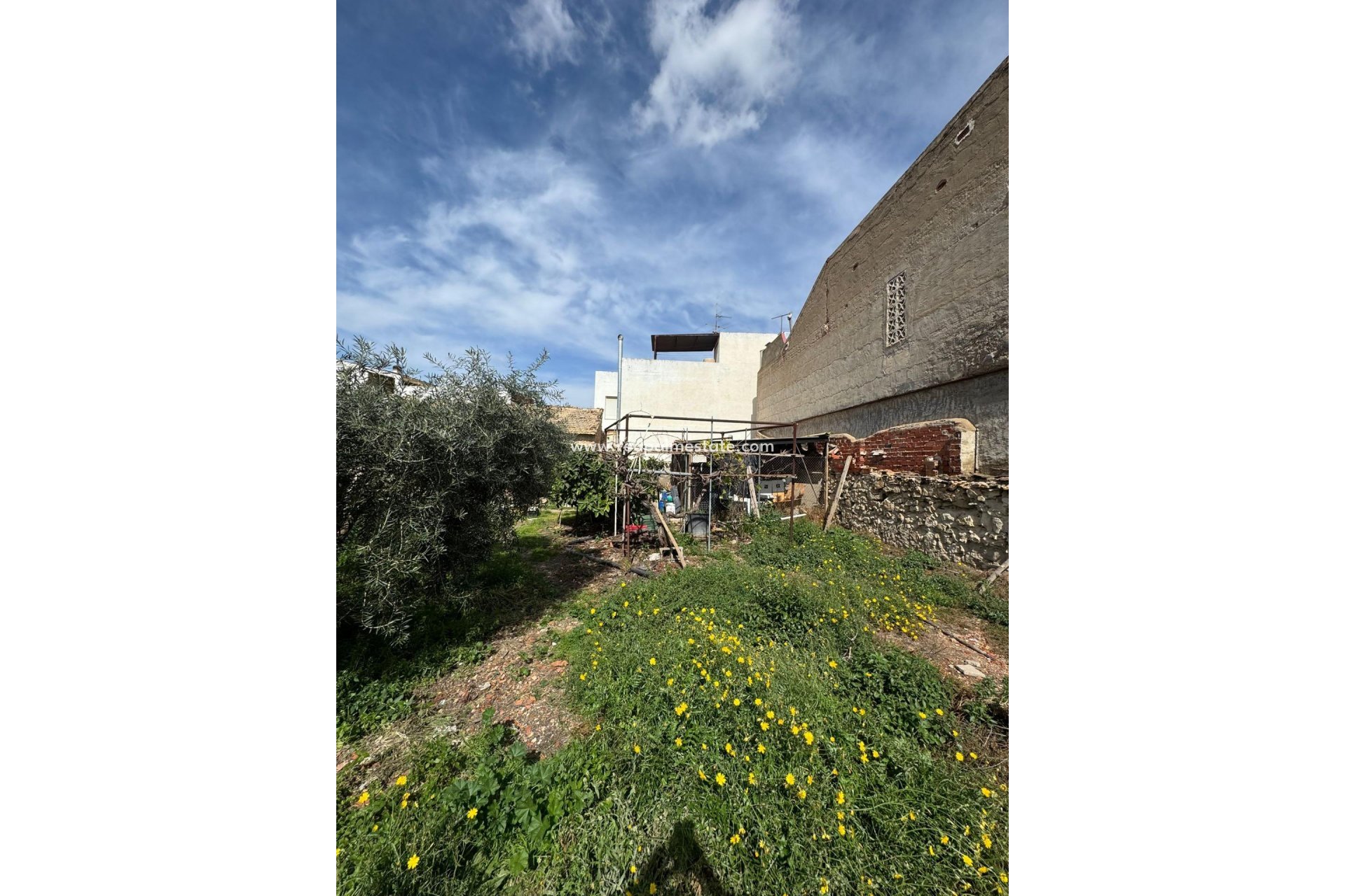 Reventa - Trama -
Jacarilla