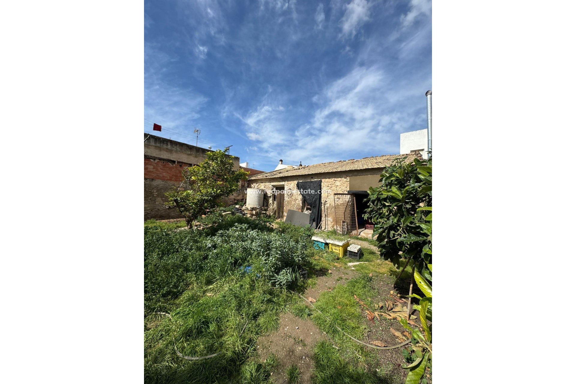 Reventa - Trama -
Jacarilla