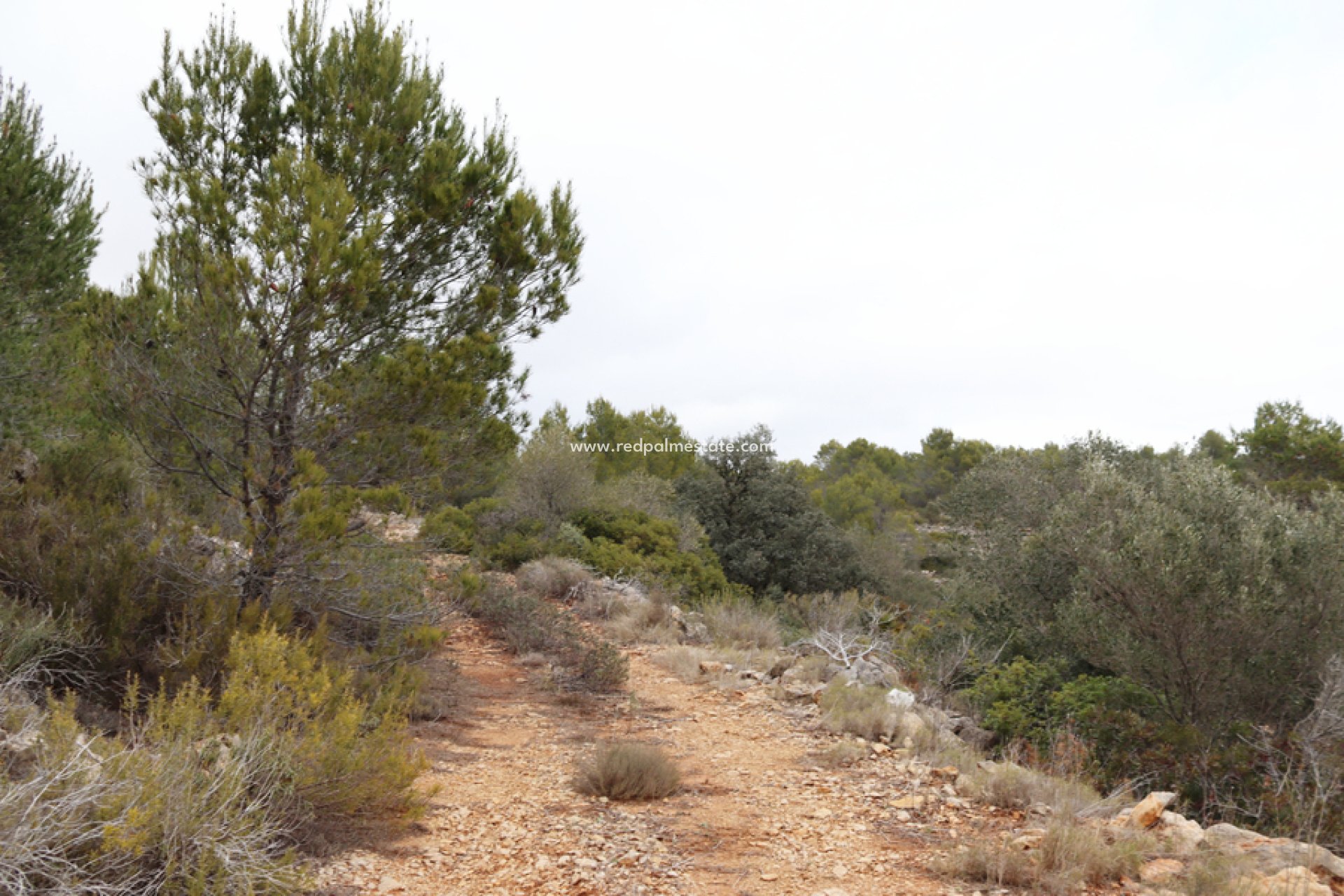 Reventa - Trama -
Jalón - Inland