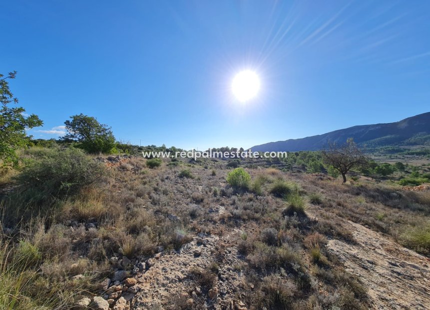 Reventa - Trama -
La Romana - Inland