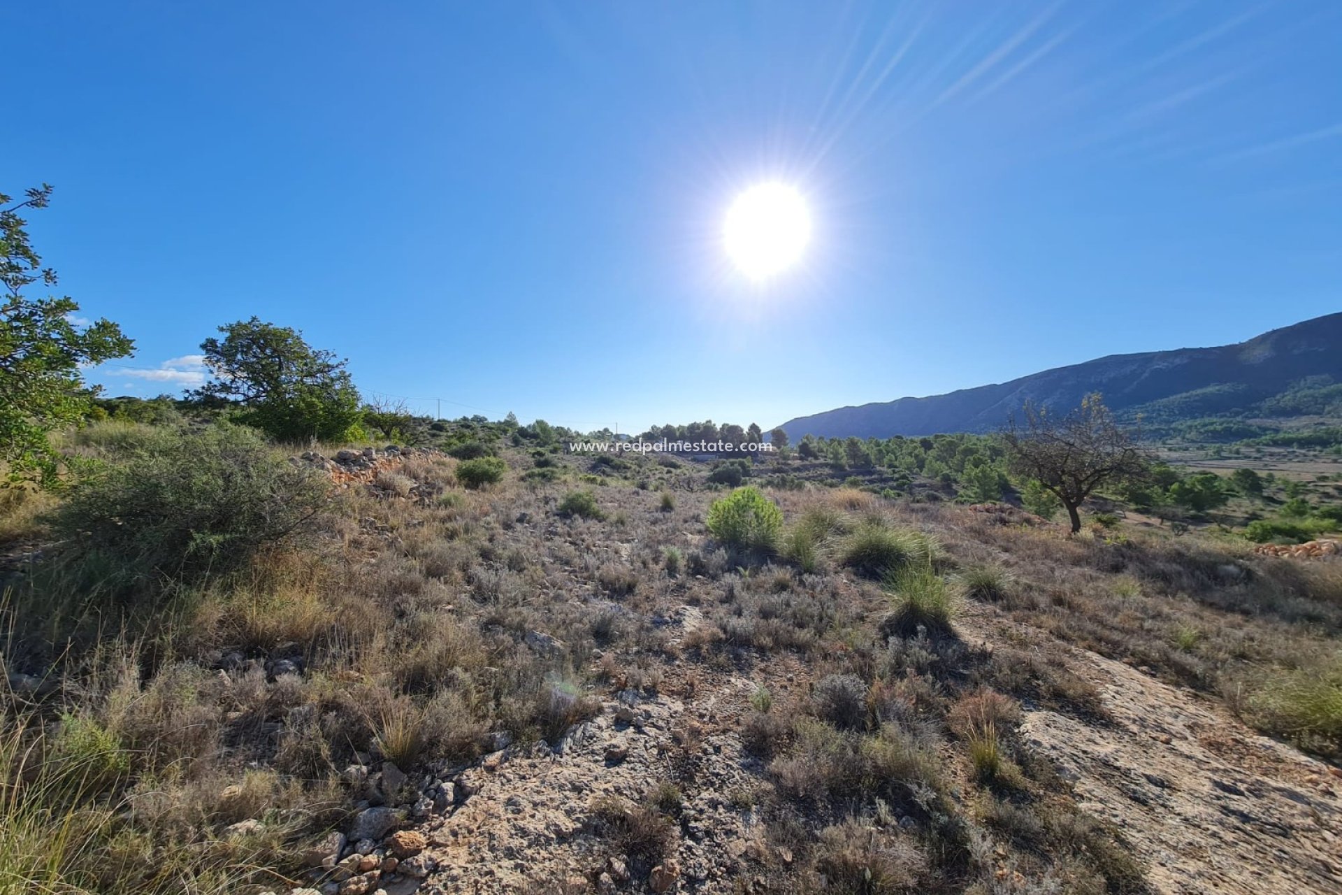 Reventa - Trama -
La Romana - Inland