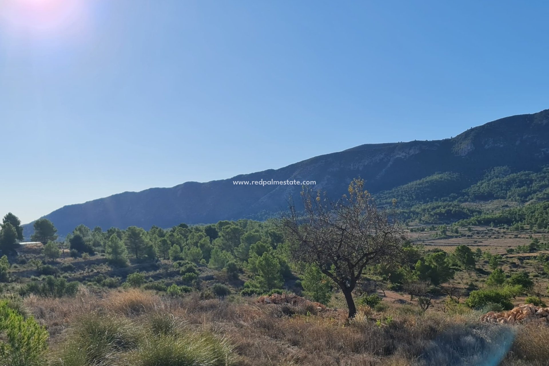 Reventa - Trama -
La Romana - Inland