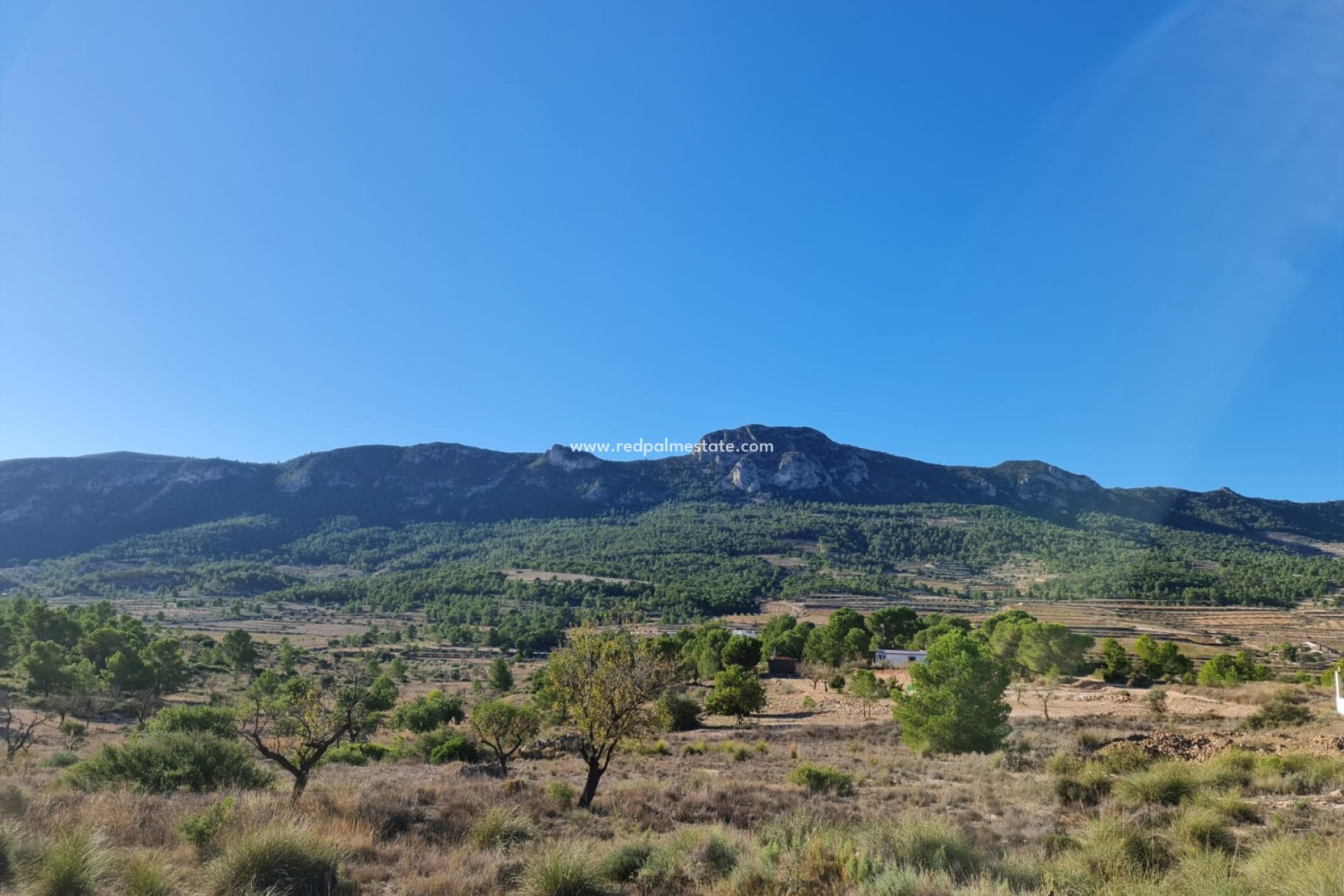Reventa - Trama -
La Romana - Inland