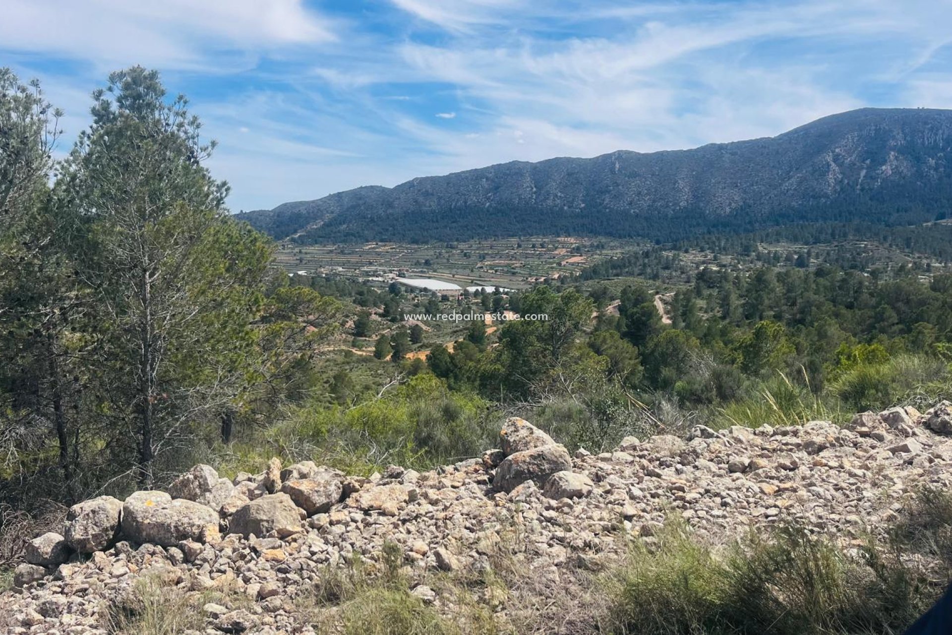 Reventa - Trama -
La Romana - Inland