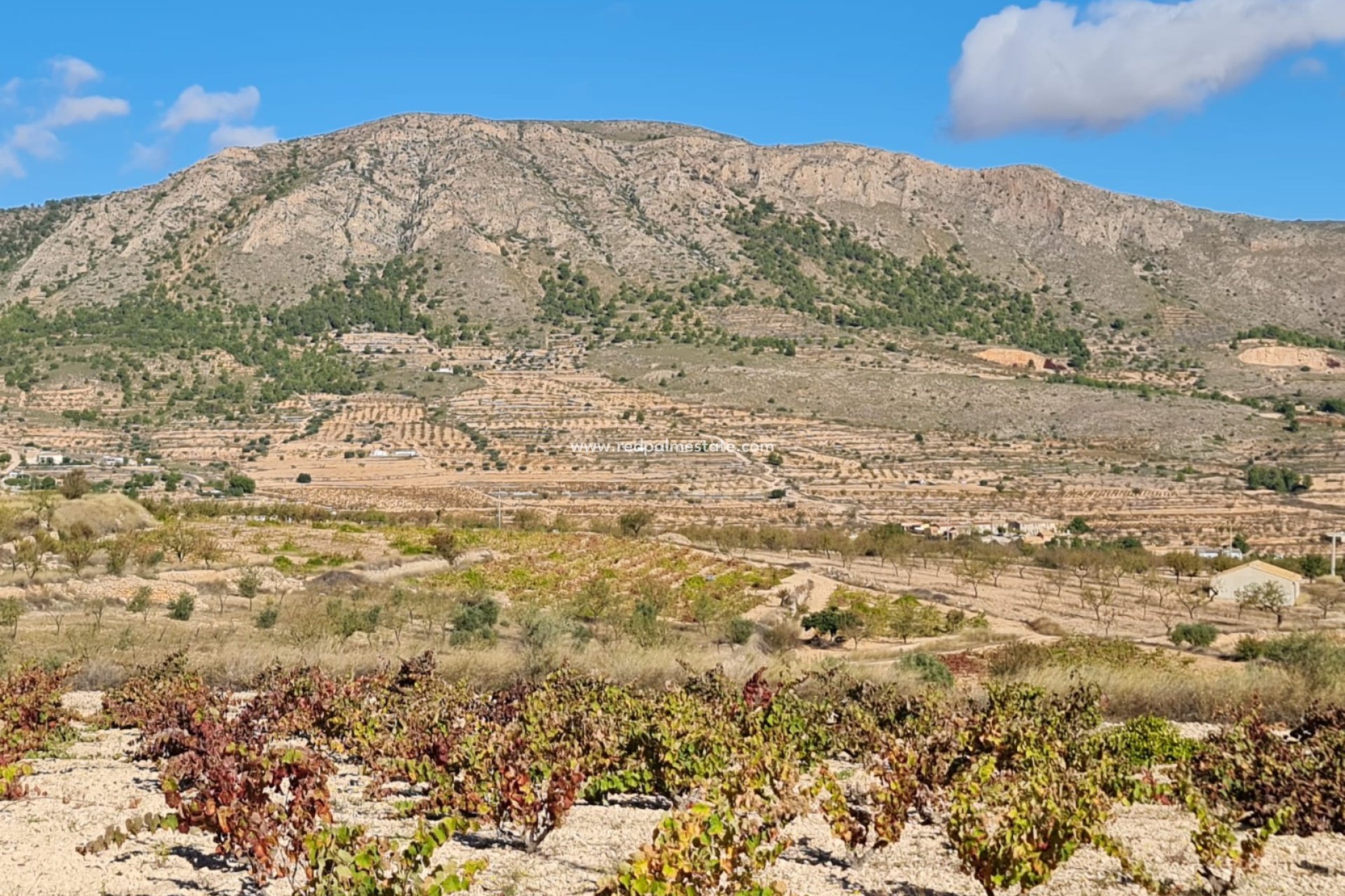 Reventa - Trama -
La Romana - Inland