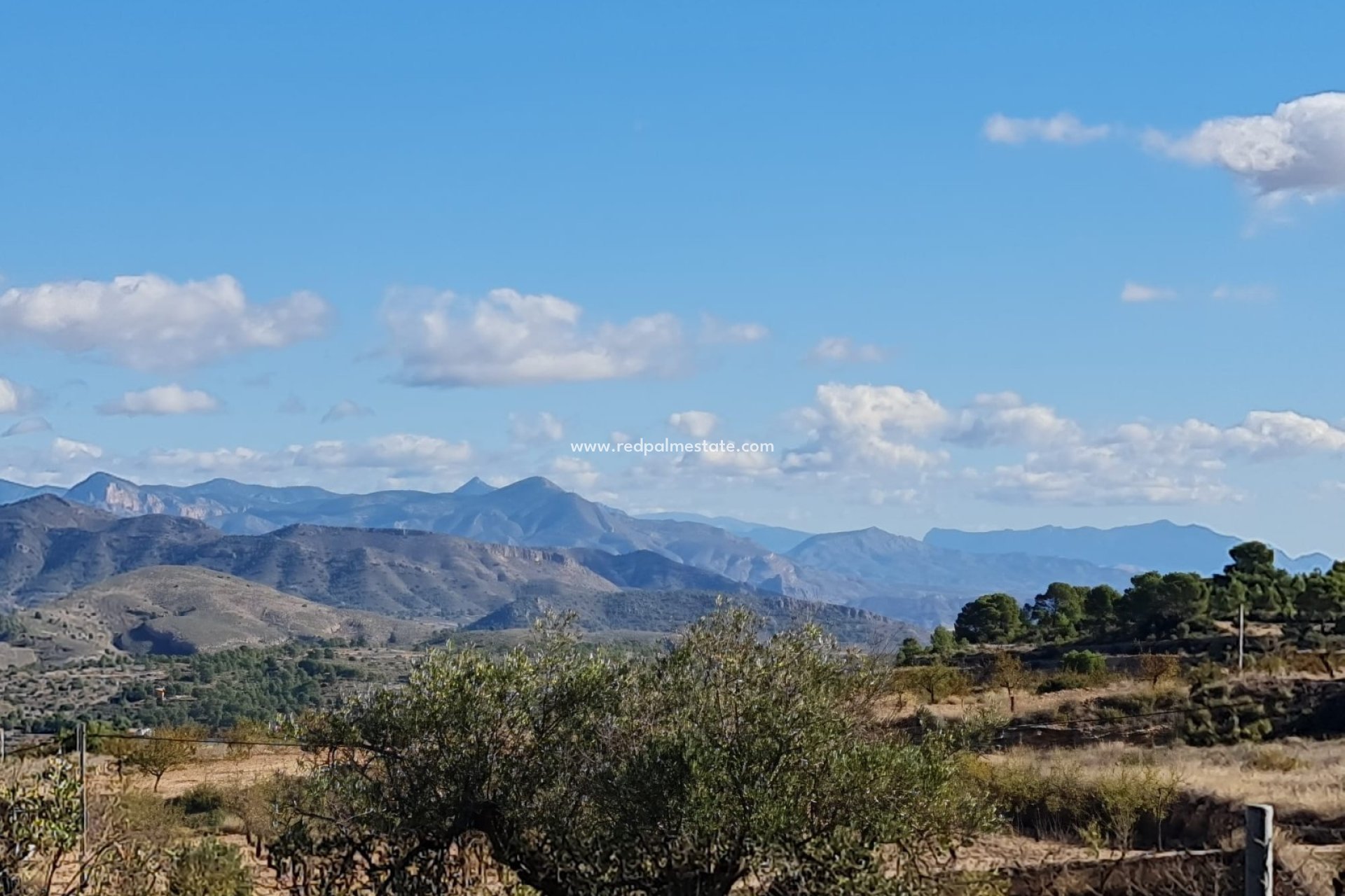 Reventa - Trama -
La Romana - Inland