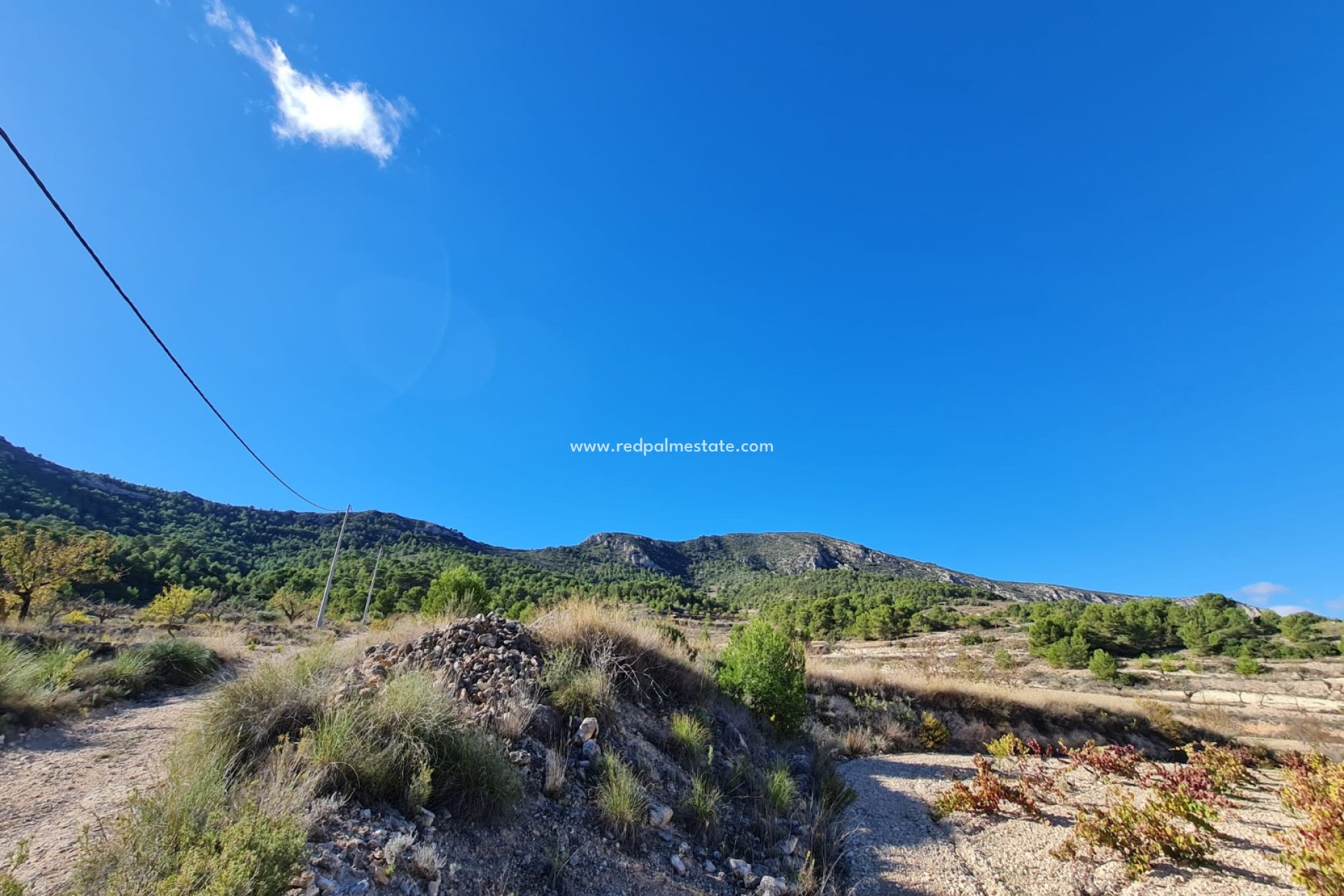 Reventa - Trama -
La Romana - Inland