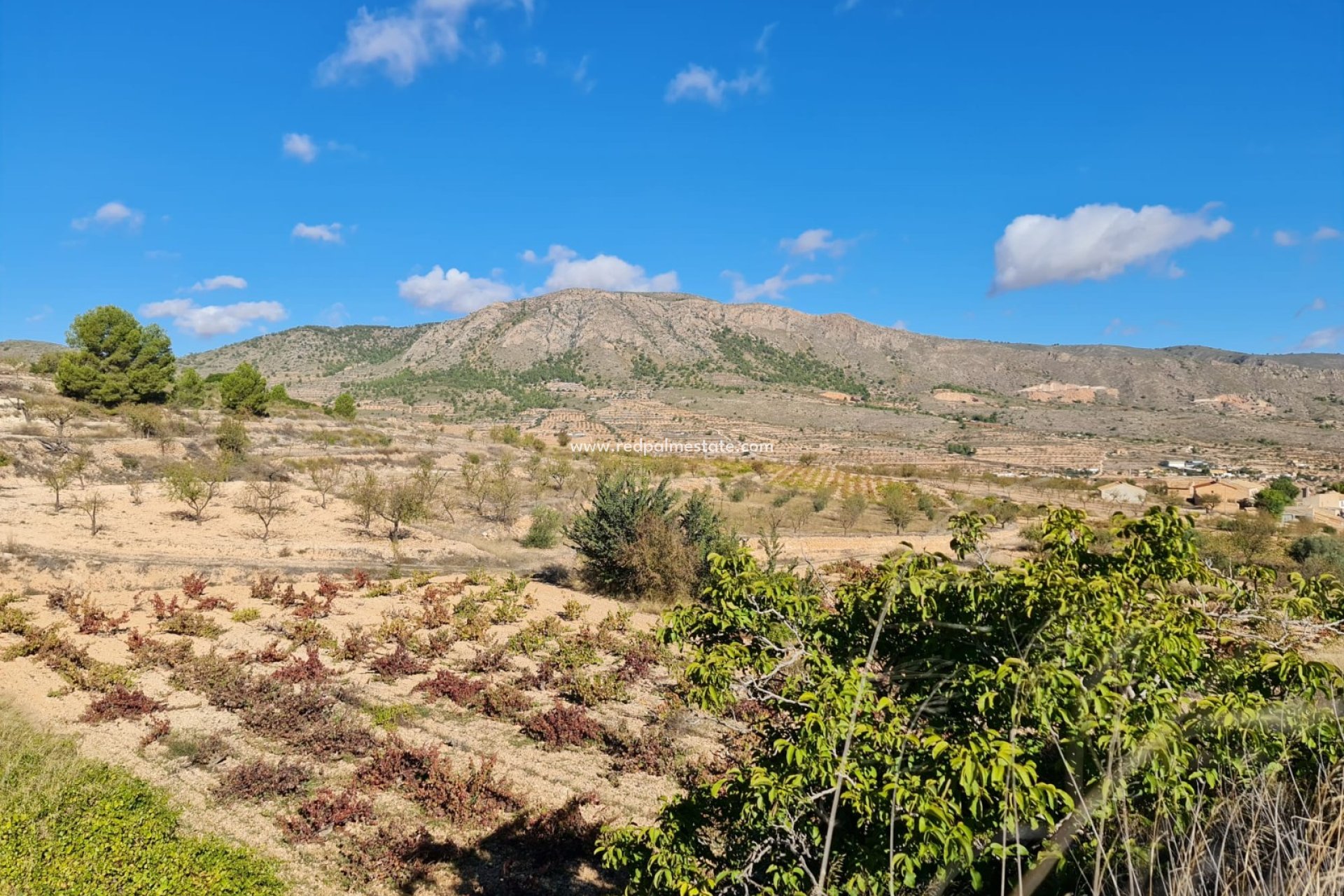 Reventa - Trama -
La Romana - Inland