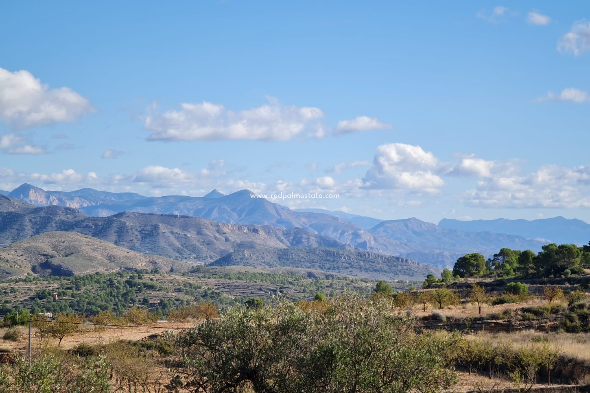 Reventa - Trama -
La Romana - Inland