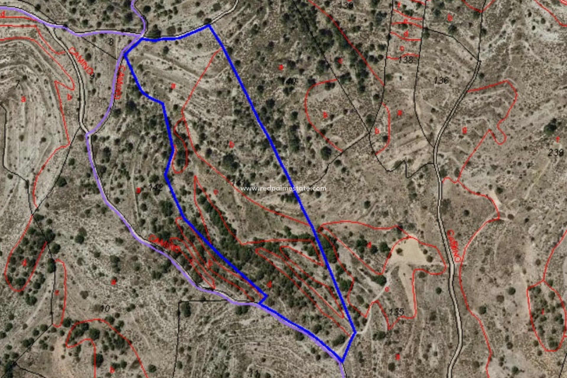 Reventa - Trama -
La Romana - Inland