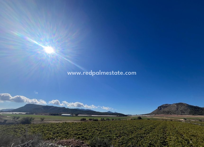 Reventa - Trama -
La Romana - Inland