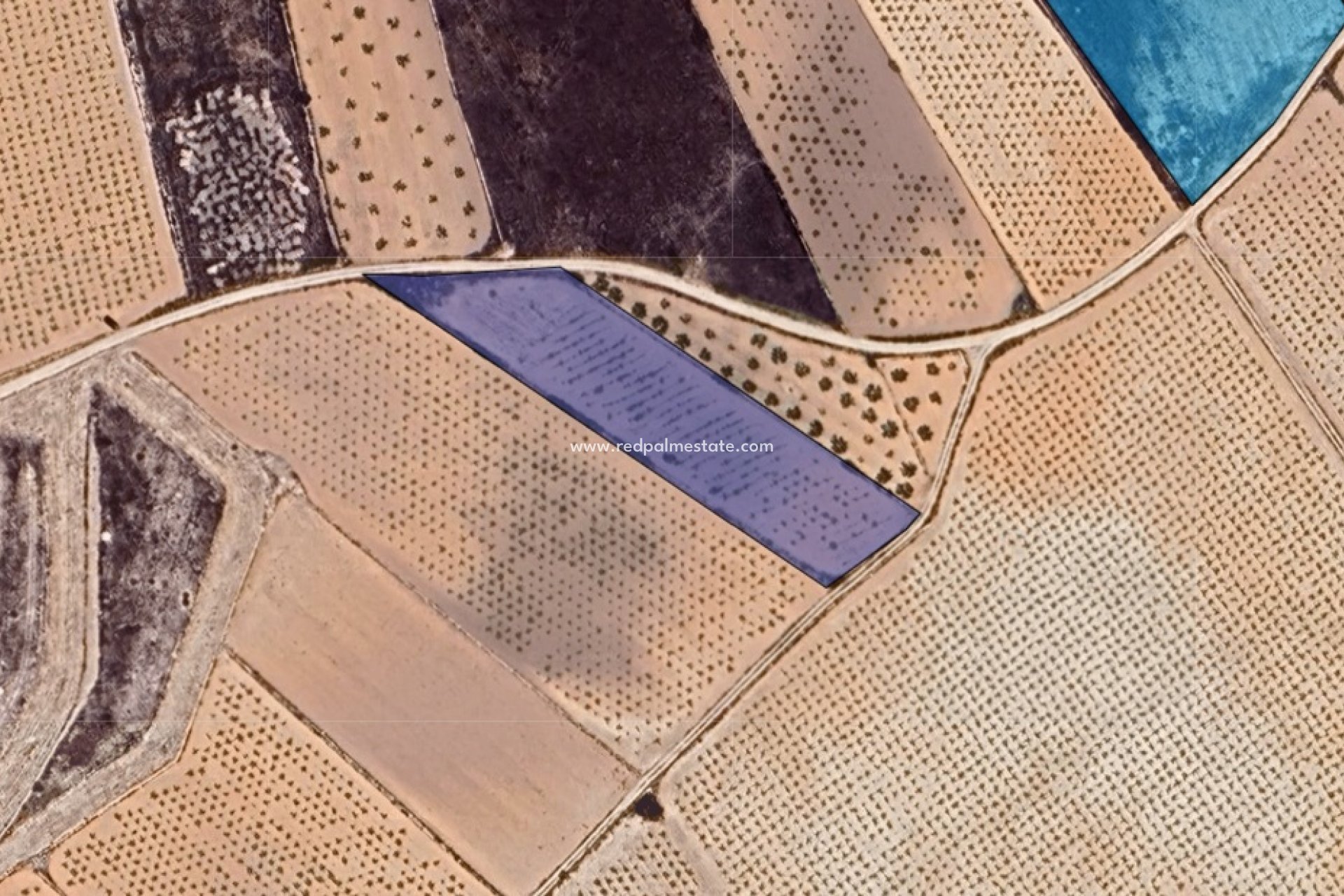 Reventa - Trama -
La Solana