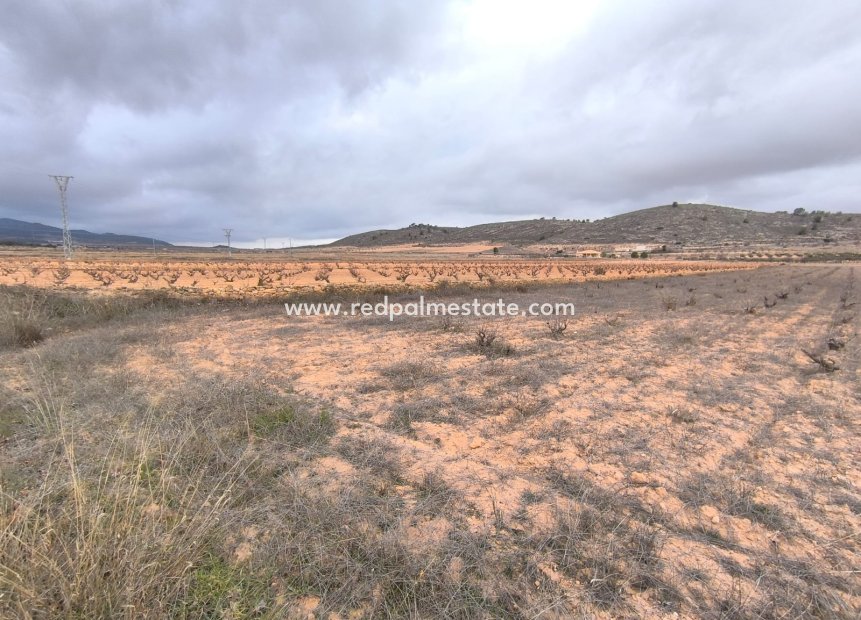 Reventa - Trama -
La Solana