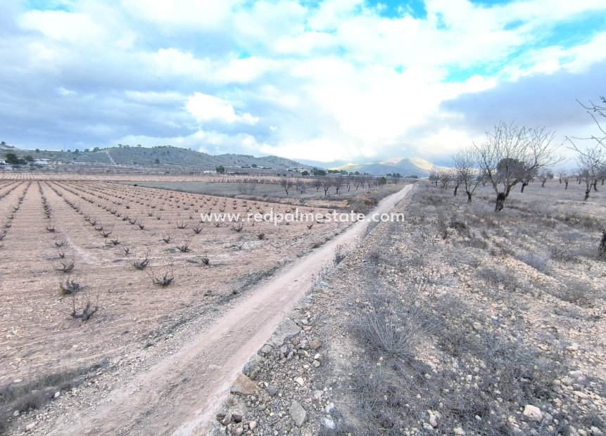 Reventa - Trama -
La Solana