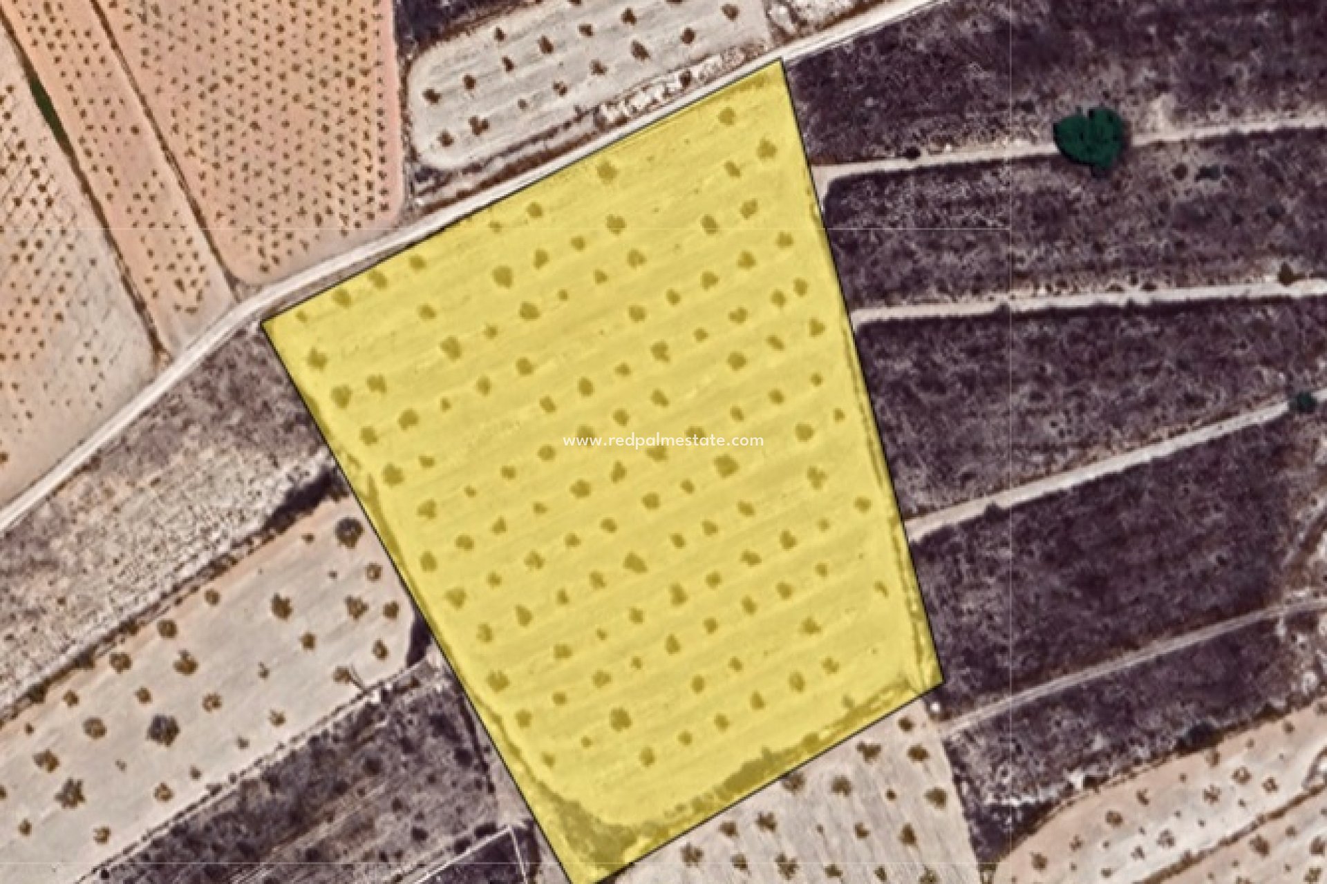 Reventa - Trama -
La Solana