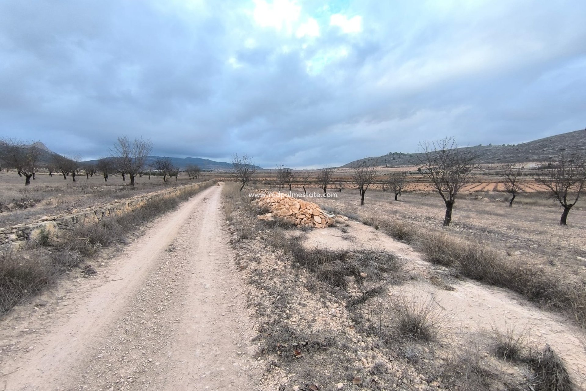 Reventa - Trama -
La Solana