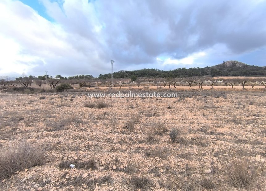 Reventa - Trama -
La Solana