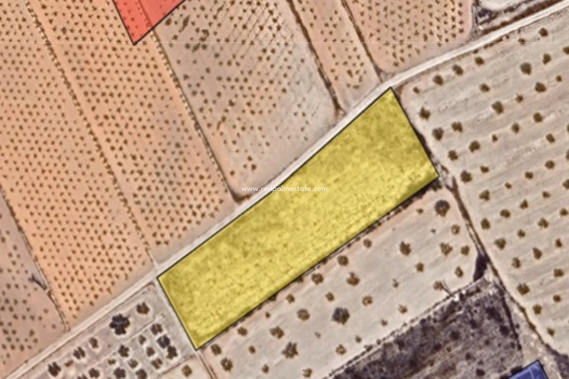 Reventa - Trama -
La Solana