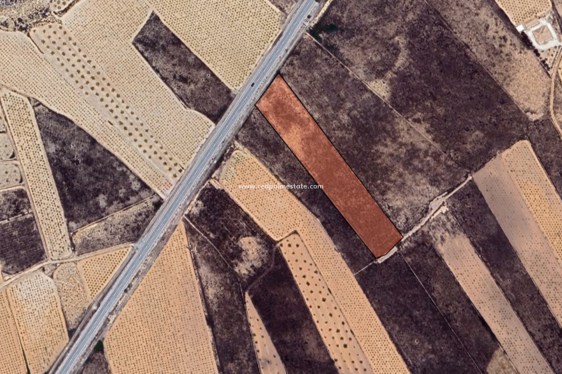 Reventa - Trama -
La Solana