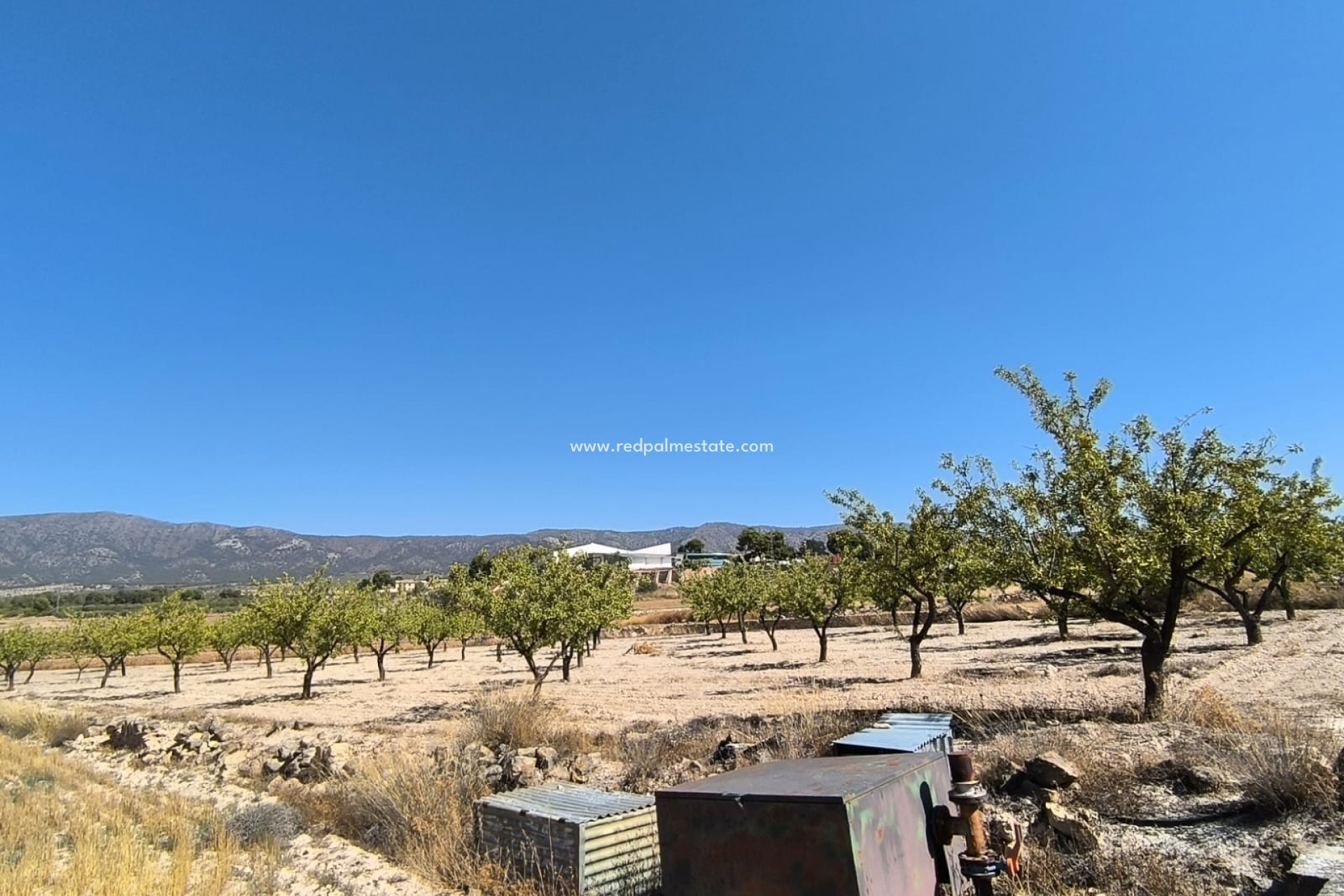 Reventa - Trama -
Monóvar/Monóver - Inland