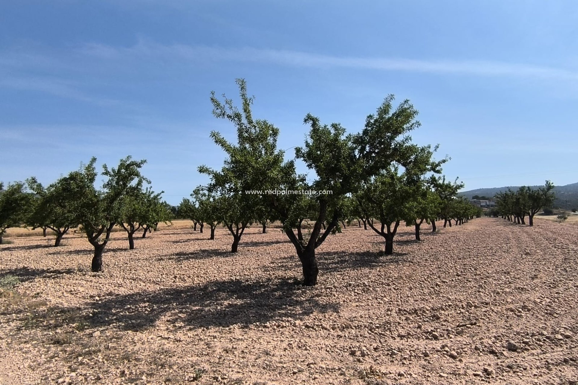 Reventa - Trama -
Monóvar/Monóver - Inland