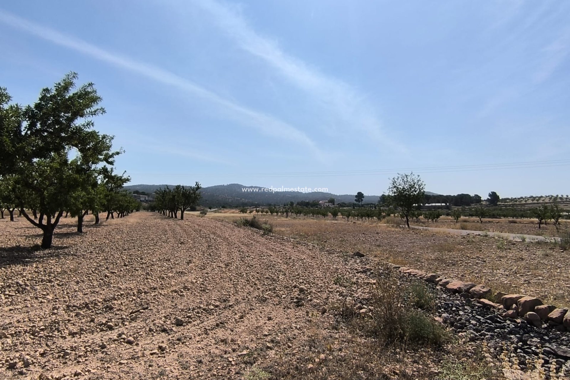 Reventa - Trama -
Monóvar/Monóver - Inland