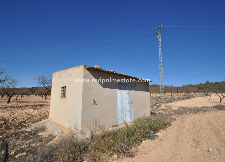 Reventa - Trama -
Monóvar/Monóver - Inland