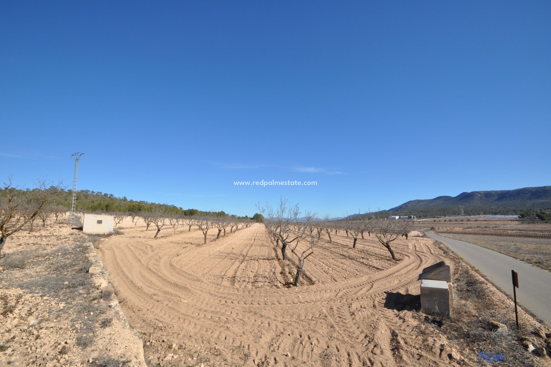 Reventa - Trama -
Monóvar/Monóver - Inland
