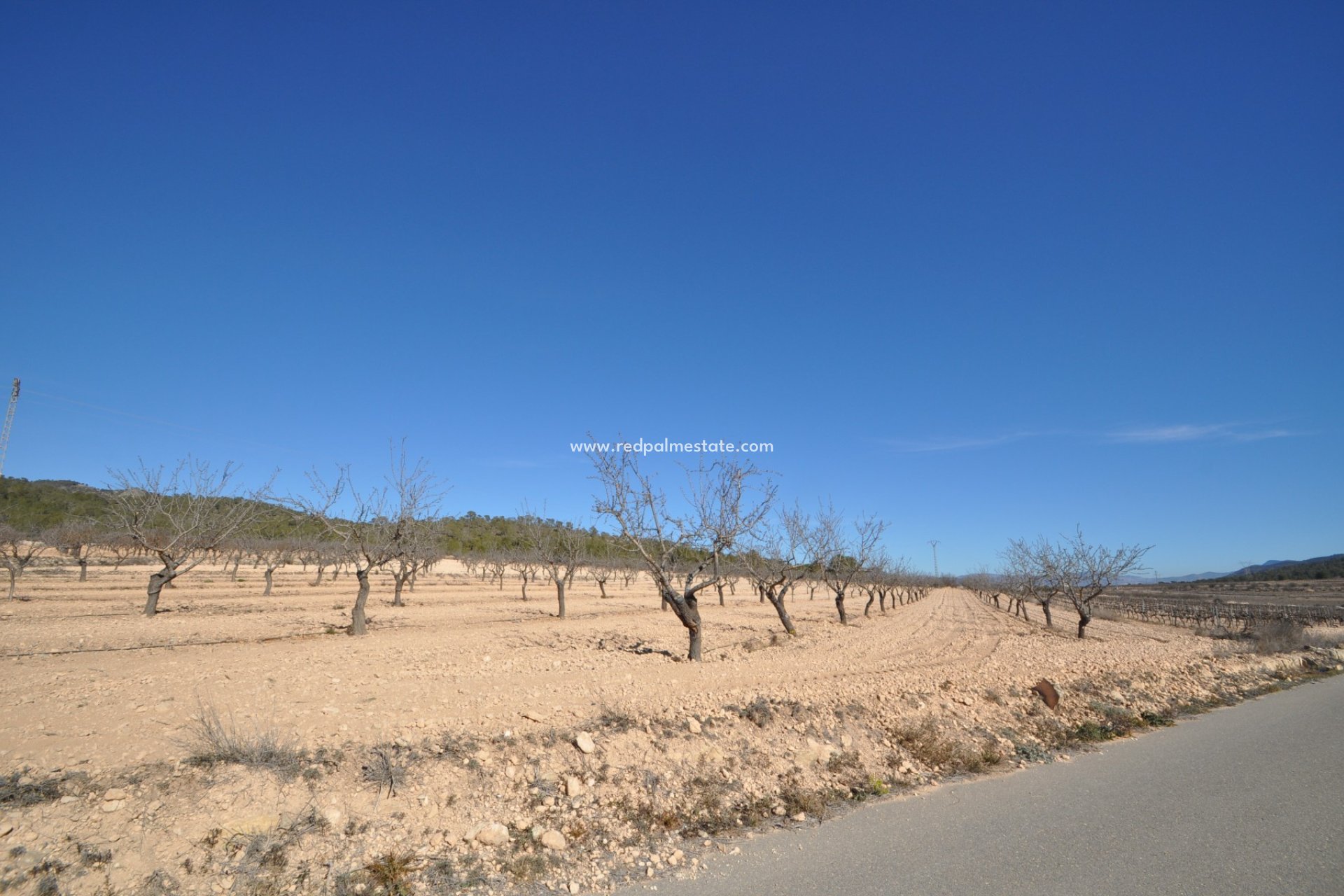 Reventa - Trama -
Monóvar/Monóver - Inland