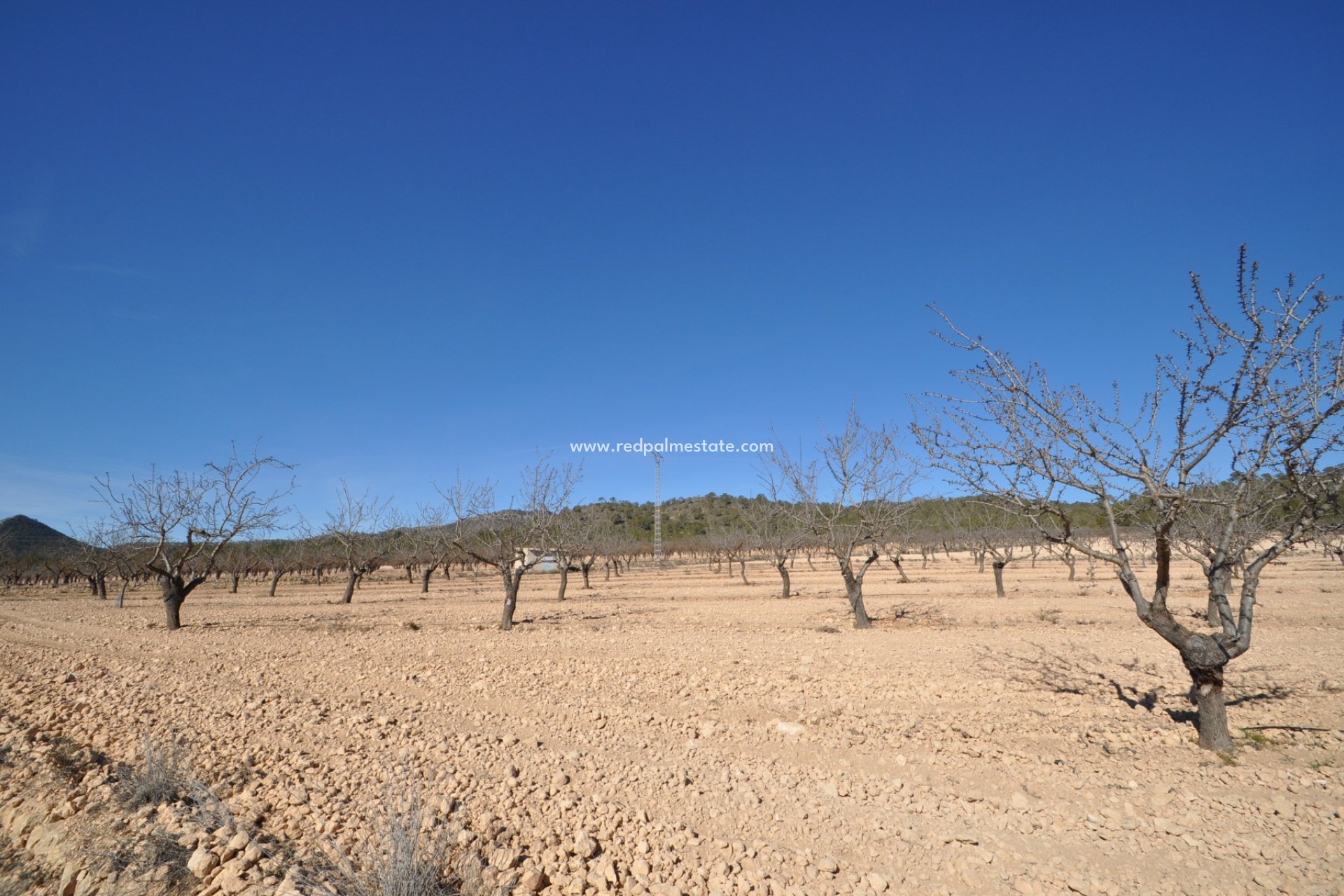 Reventa - Trama -
Monóvar/Monóver - Inland