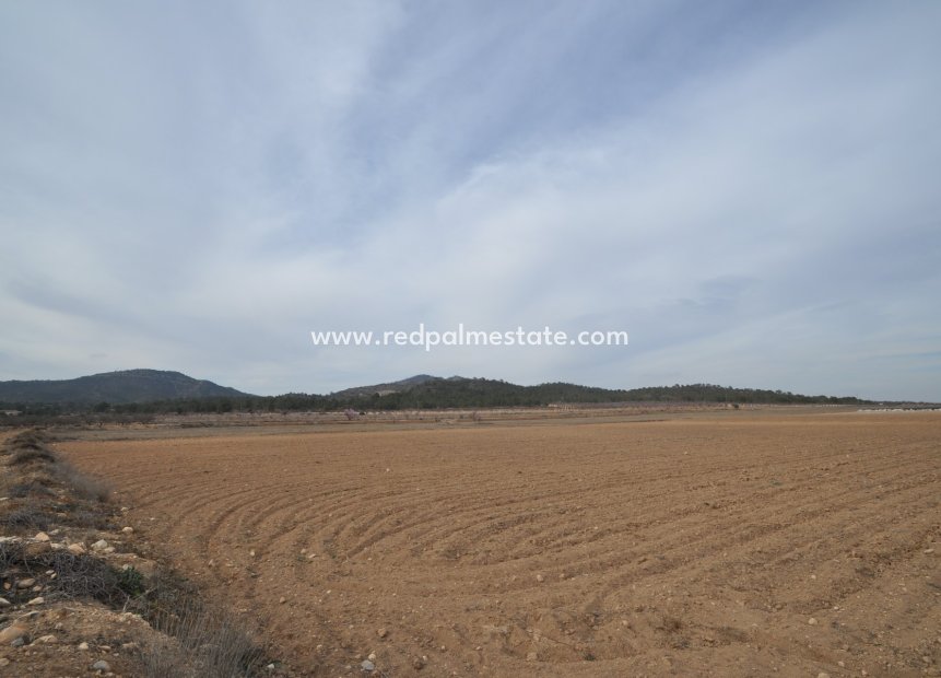 Reventa - Trama -
Monóvar/Monóver - Inland
