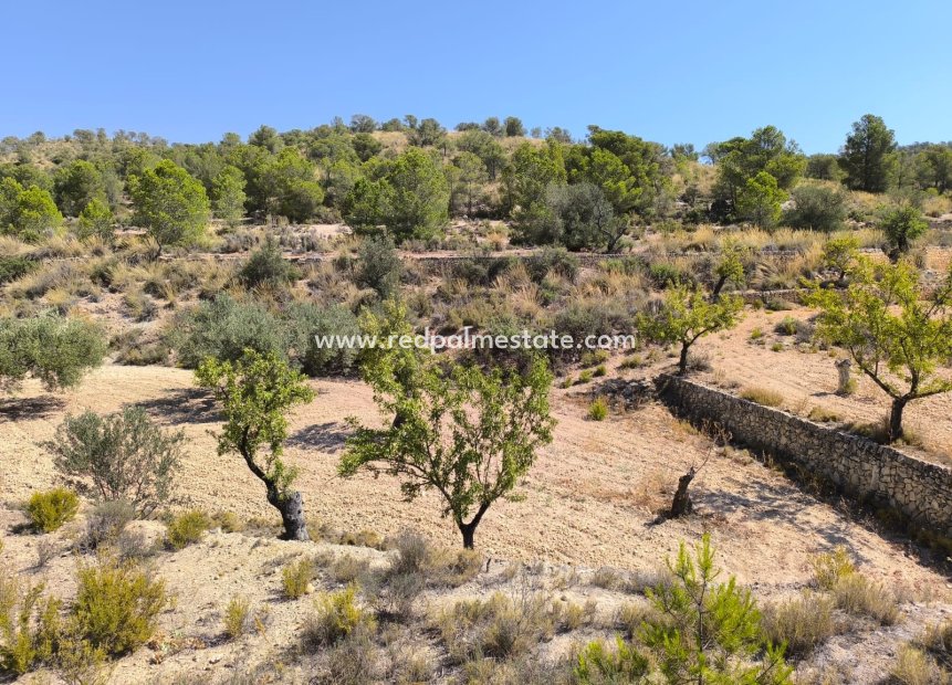 Reventa - Trama -
Monóvar/Monóver - Inland