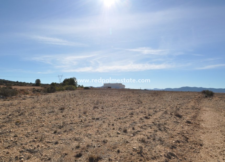 Reventa - Trama -
Monóvar/Monóver - Inland