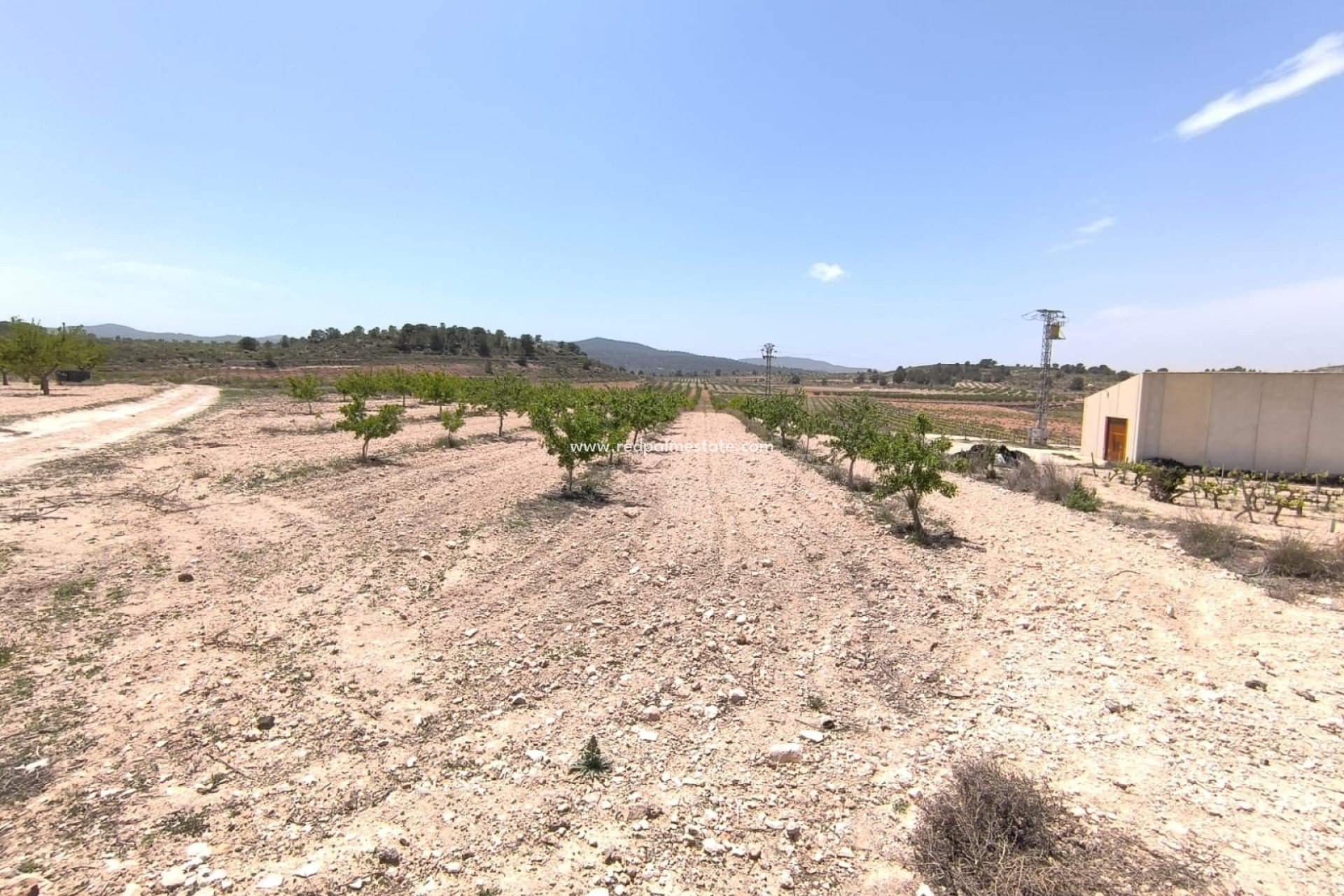 Reventa - Trama -
Monóvar/Monóver - Inland