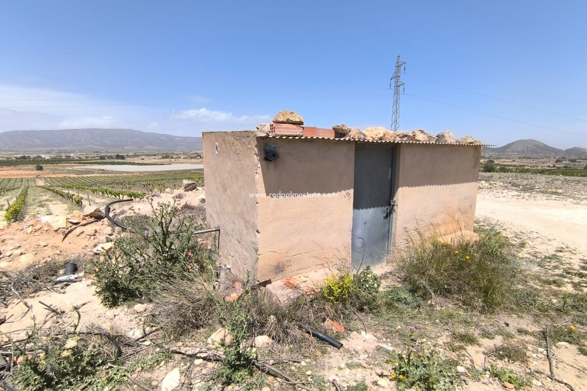 Reventa - Trama -
Monóvar/Monóver - Inland