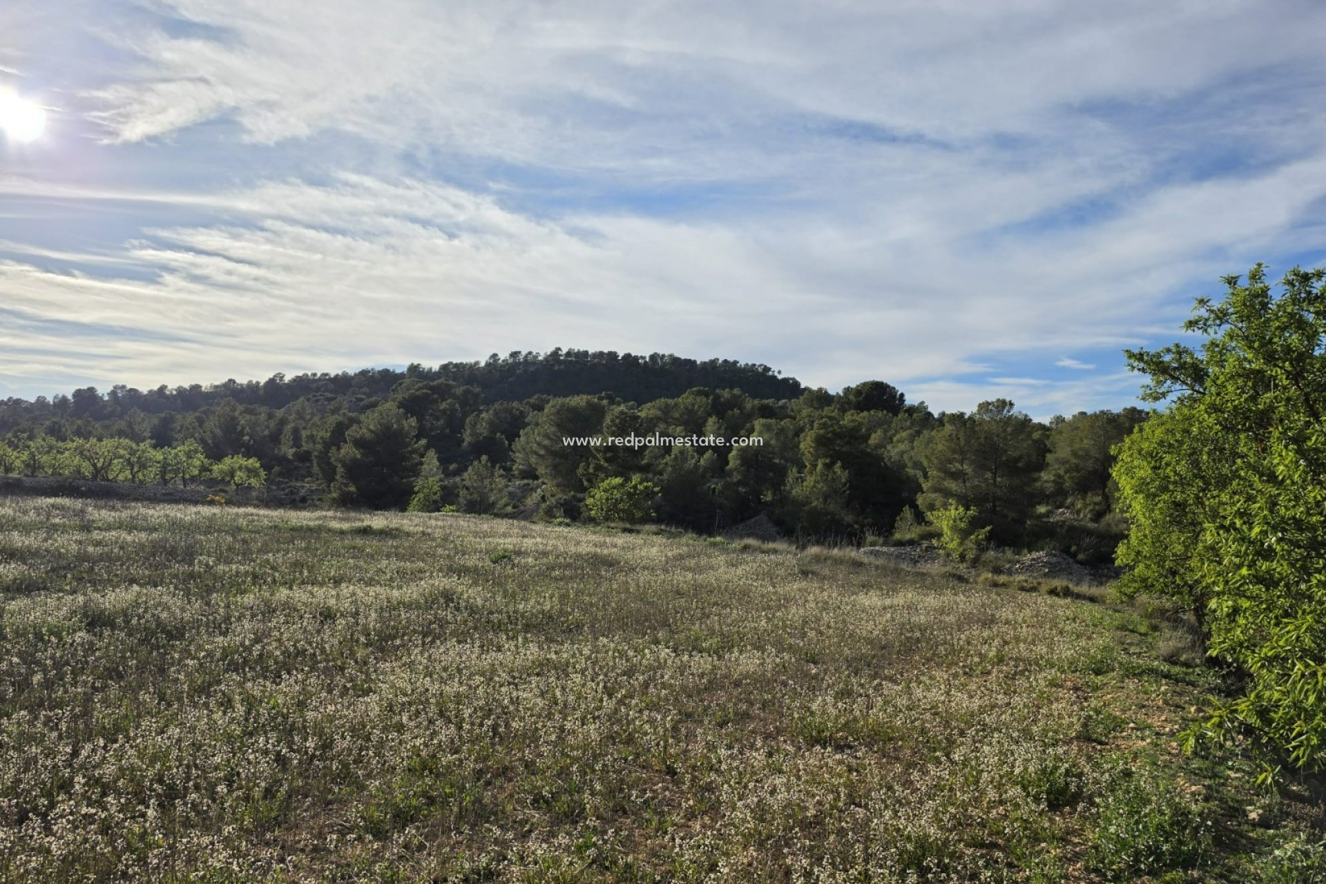 Reventa - Trama -
Monóvar/Monóver - Inland
