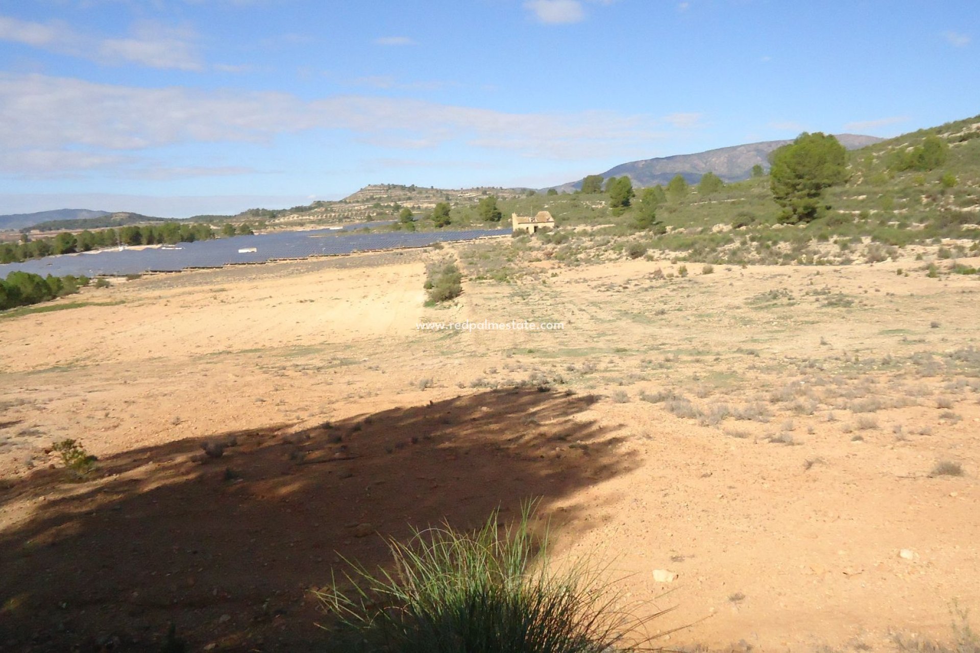 Reventa - Trama -
Monóvar/Monóver - Inland