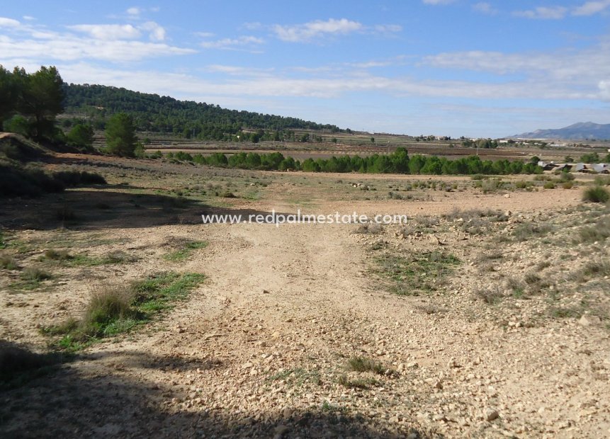 Reventa - Trama -
Monóvar/Monóver - Inland