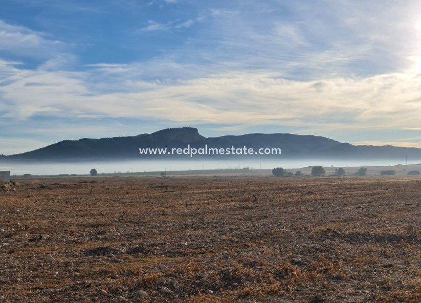 Reventa - Trama -
Monóvar/Monóver - Inland