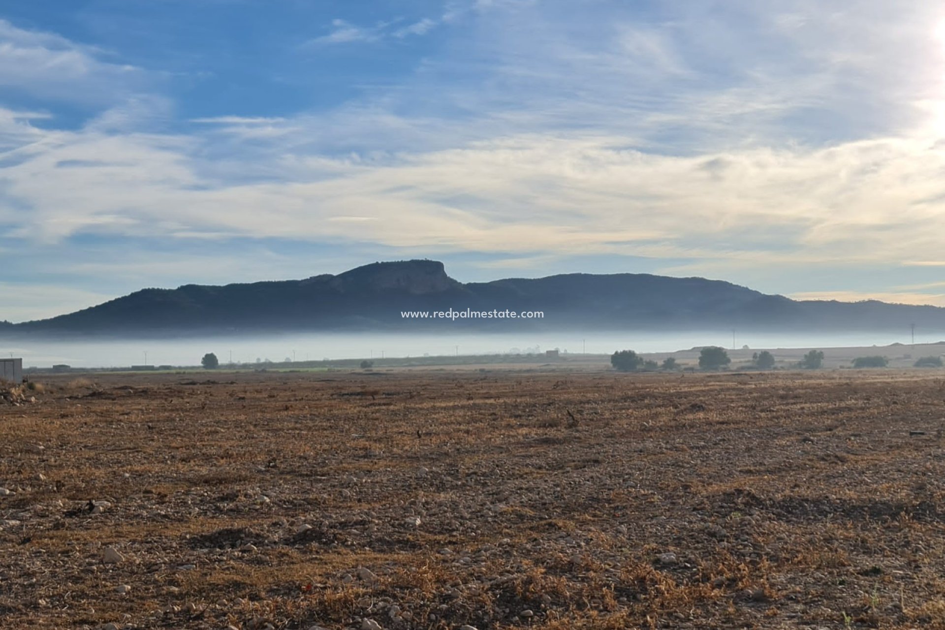 Reventa - Trama -
Monóvar/Monóver - Inland